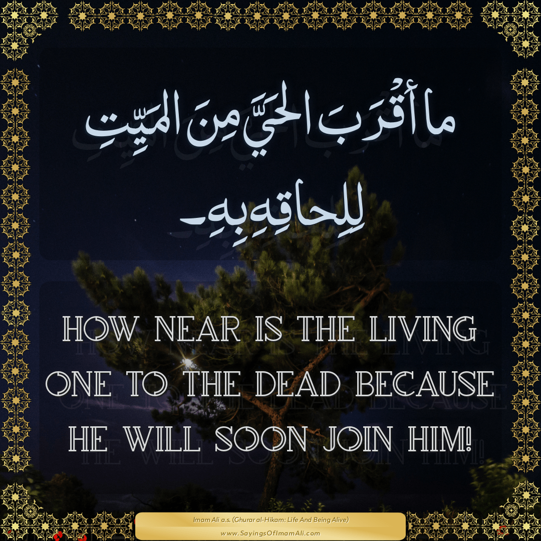 How near is the living one to the dead because he will soon join him!